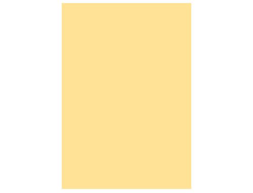 Cartolina guarro 50x65 cm 185 gr creme , Guarro , 12678 , 3148954223155